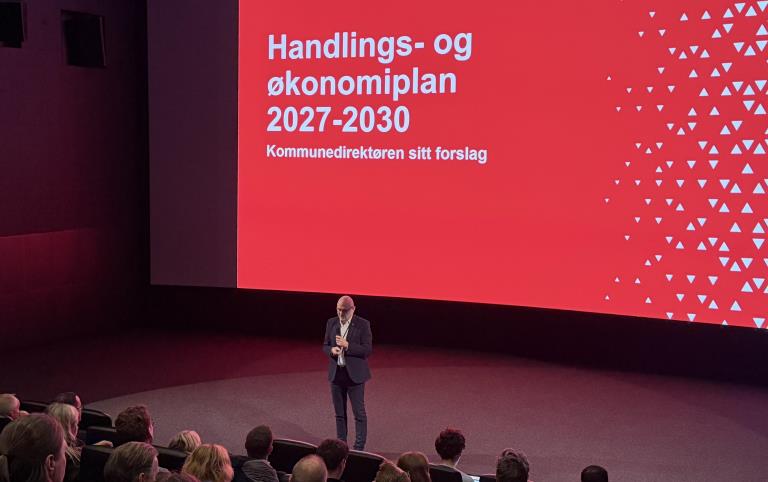 Lenkje til artikkel: Mindre handlingsrom – utset investeringar