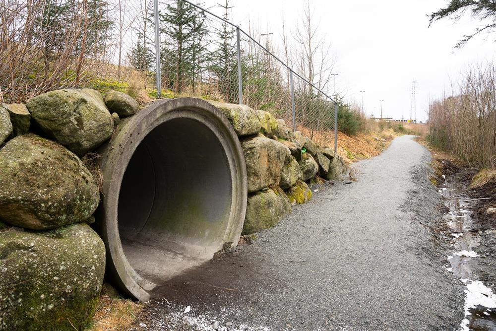 tunnel ved tursti - Klikk for stort bilete