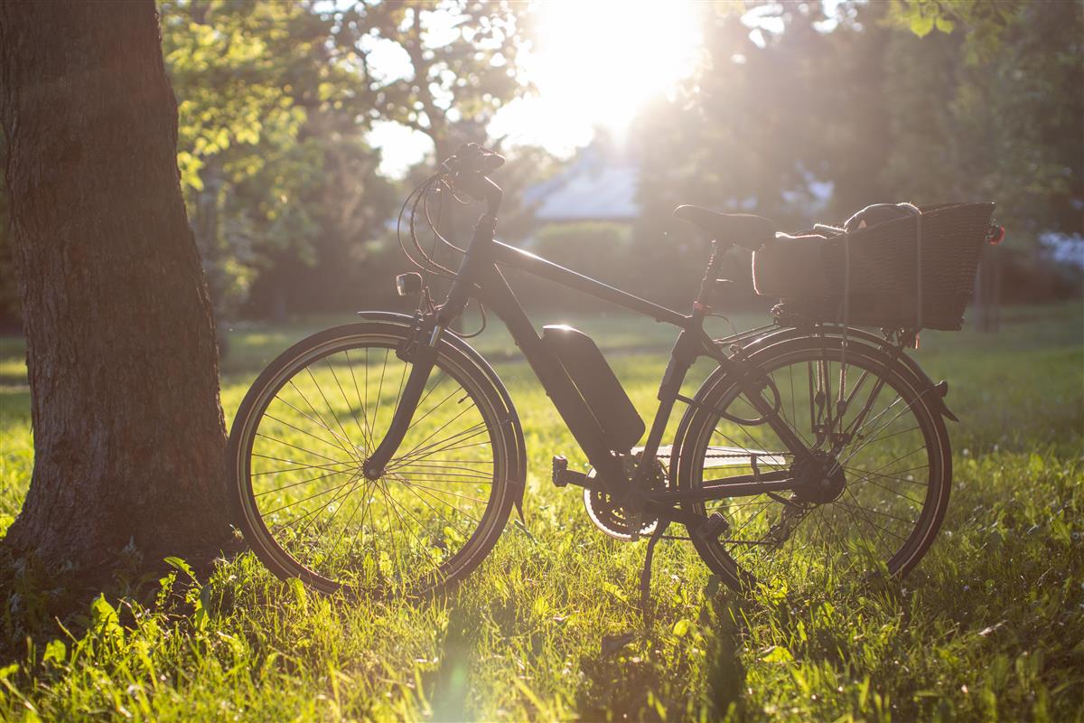 Elsykkel i hage i solnedgang - Klikk for stort bilete